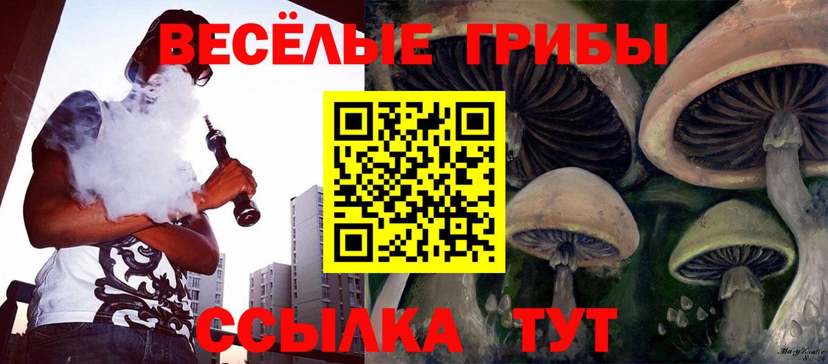Галлюциногенные грибы прущие грибы Тайшет